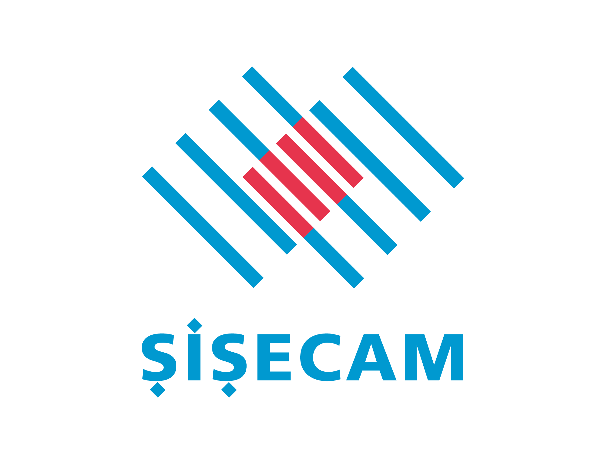 Sisecam Sisecam