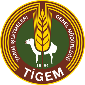 tigem tigem